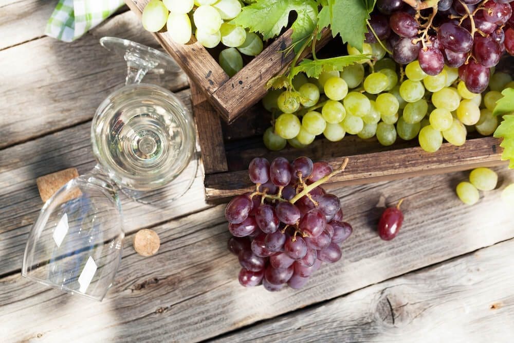 Take a Wine Region RV Tour